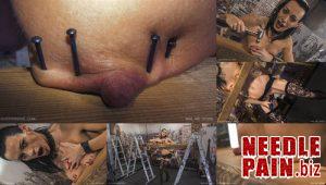Nail Me Down – Queensnake, piercing, orgasm, nails, hammer